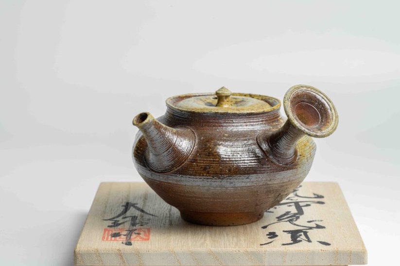 Taisuke Shiraiwa Yohen Kyusu  - 200ml