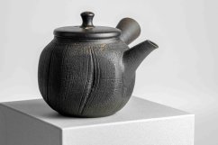 Jinshu Yohen Black Hexagonal Kyusu - 150ml