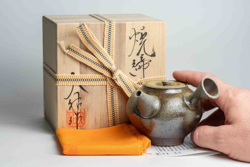 Taisuke Shiraiwa Yohen Kyusu  - 240ml