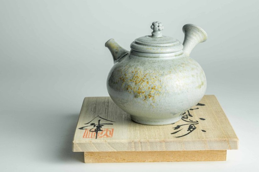 Taisuke Shiraiwa Yohen Kyusu  - 160ml (levoruká)
