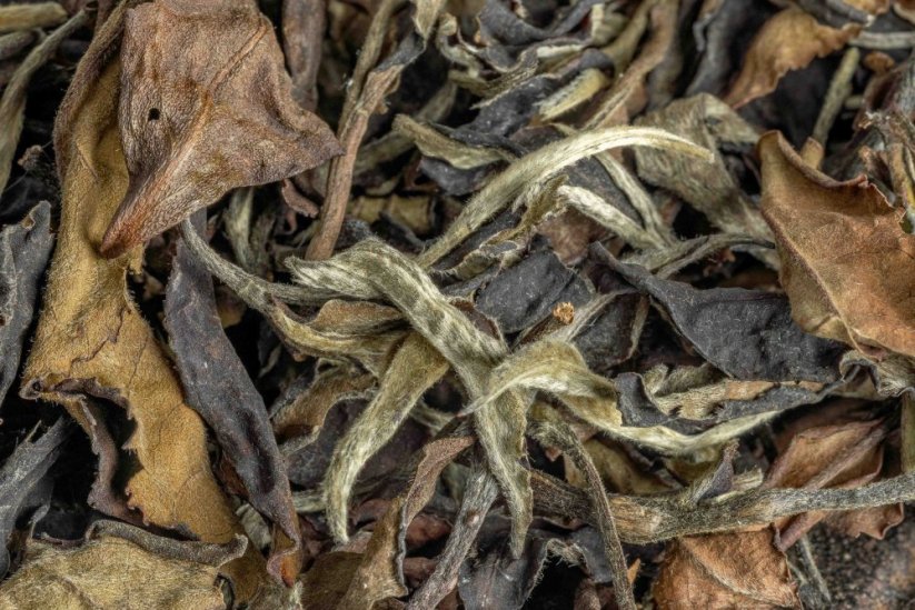 Sri Lanka High Mountain Peony 2023 - 30g