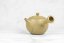 Tokoname Kyusu - 340 ml