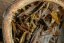 Hoang Lien Son Mountain Wild Forests White Cake 2025 - 200g