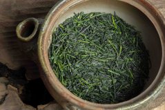 Kagoshima Matsu Jirushi Kabusecha 2025 - 50g