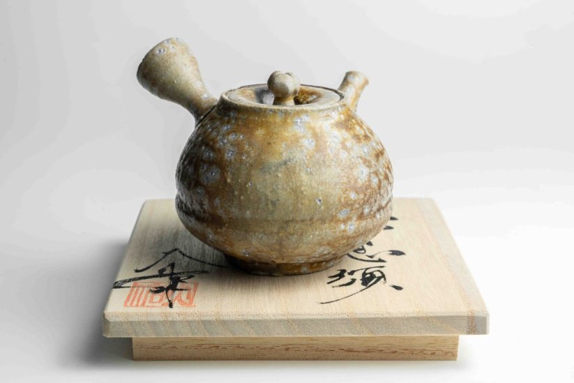 Taisuke Shiraiwa Yohen Kyusu  - 190ml