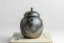 Masaaki Kobashi Ao-Bizen Migaki Hidasuki Teapot - 170ml