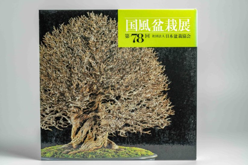 Kokufu Ten  Exhibit Books - Ročník: No.81