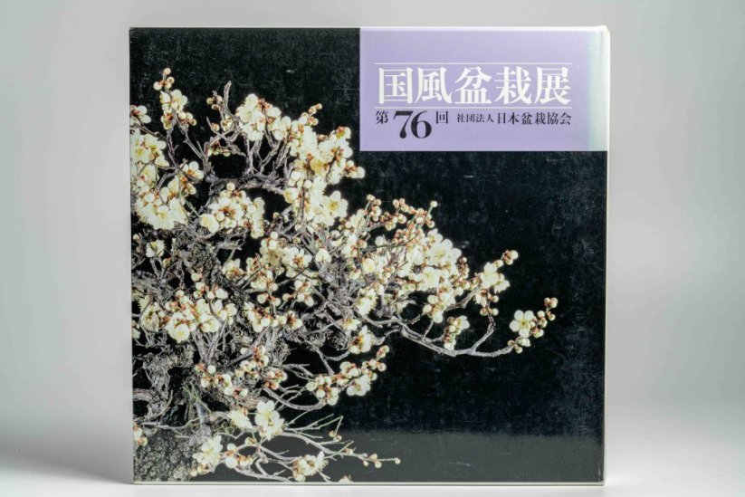 Kokufu Ten  Exhibit Books - Ročník: No.81