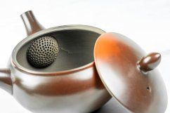 Koji Iwase Kyusu - 170 ml