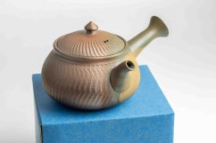 Mori Iroku IV Yohen Kyusu - 150ml