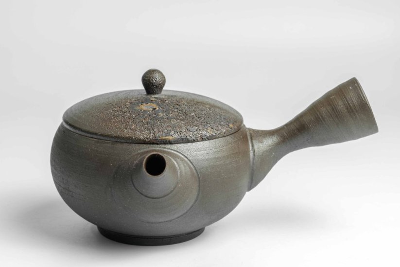 Keiichiro Watanabe Kyusu - 230 ml