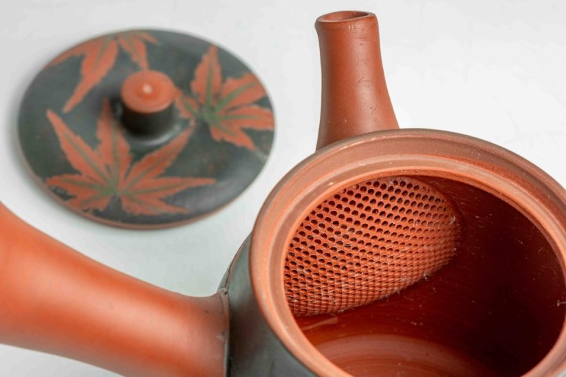 Seiho - Tsuzuki Takao Momiji Kyusu - 200ml