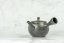 Tokoname Kyusu - 230ml