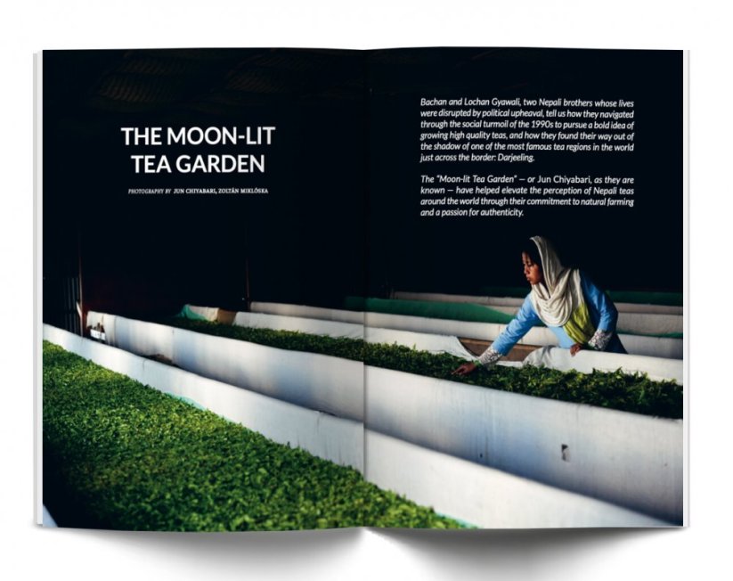 eighty°- the culture of tea 5