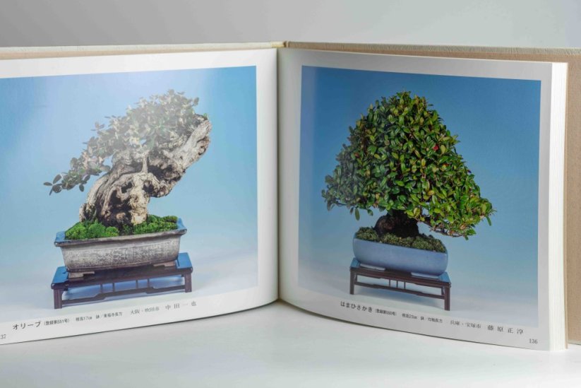 Gafu-ten Exhibit Book - 42