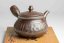 Vintage Mori Iroku III Kyusu - 250ml