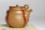 Masaaki Kobashi Bizen Hidasuki Karakusa-patterd Gold Decorated Teapot- 180ml