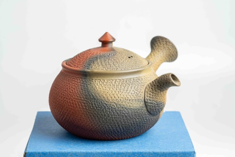 Mori Iroku IV Yohen Kyusu - 130ml