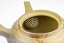 Hakusan Mogake Kyusu no.1 - 240 ml