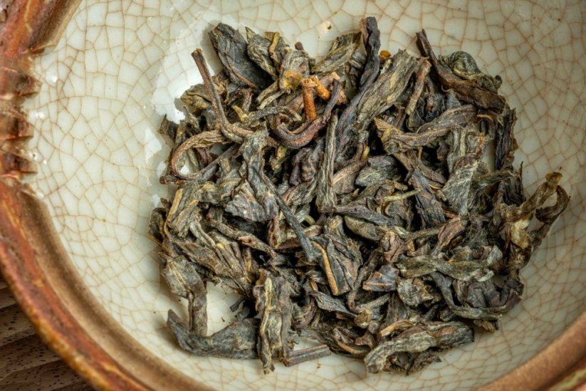 Jungle Flow - Chiang Rai Gushu Sheng 3/2024 - 100g