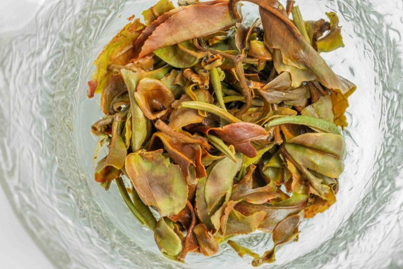 Darjeeling Rohini Hand Rolled Spring Beauty FF2026 - 50g