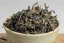 Zuo Ruyu Hualien Noon Yellow Tea 2015 - 30g