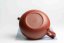 Huanglongshan Zhuni Clay Teapot - 300ml