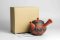 Seiho - Tsuzuki Takao Momiji Kyusu - 250ml