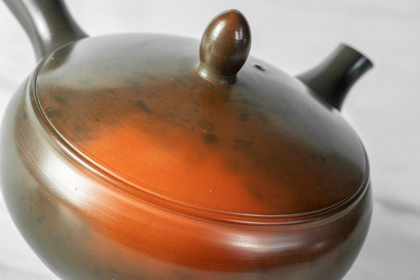 Koji Iwase Kyusu - 240 ml