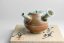 Taisuke Shiraiwa Yohen Kyusu  - 150ml