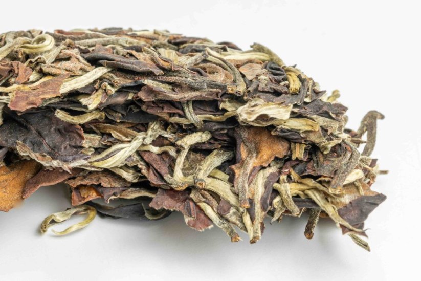 Chiang Rai Gushu Bai Cha 2024 - 100g