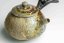 Jonathan Steel Anagama Wood Handle Kyusu no.1 - 160ml