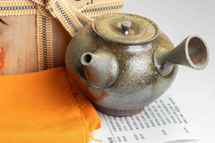 Taisuke Shiraiwa Yohen Kyusu  - 240ml