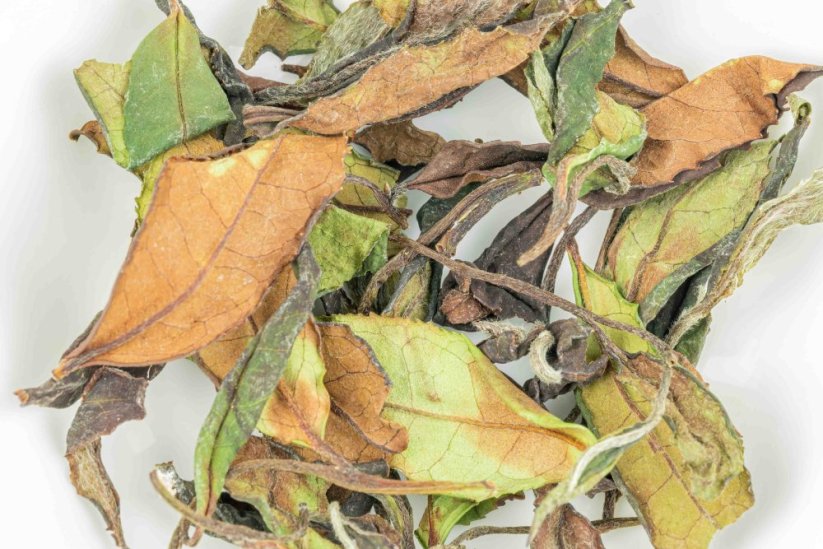 Etseri White First Flush 2024 - 25g