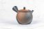 Gyokukou Yohen Kyusu - 240 ml