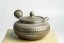 Mori Iroku IV Diamond Cut Kyusu - 150ml