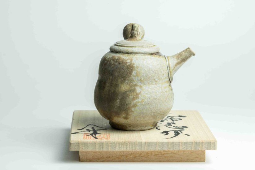 Taisuke Shiraiwa Yohen Kyusu  - 170ml