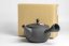 Hirotaka Umehara Red Flower Kyusu - 300ml
