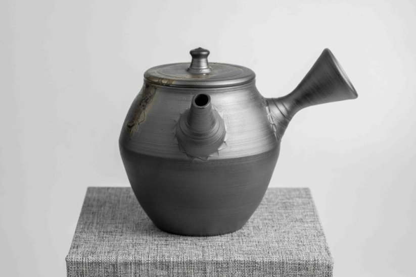Yutaro Yamada Mogake Kyusu - 230ml