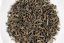 Shizuoka Yabukita Koucha 2nd Flush 2026 - 50g