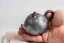 Pure Silver Black Pumpkin Tea pot - 120ml