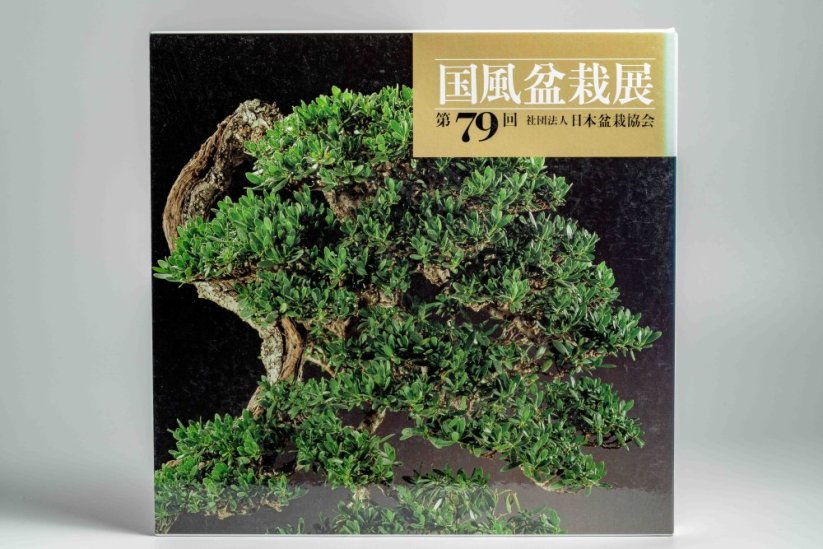 Kokufu Ten  Exhibit Books - Ročník: No.81