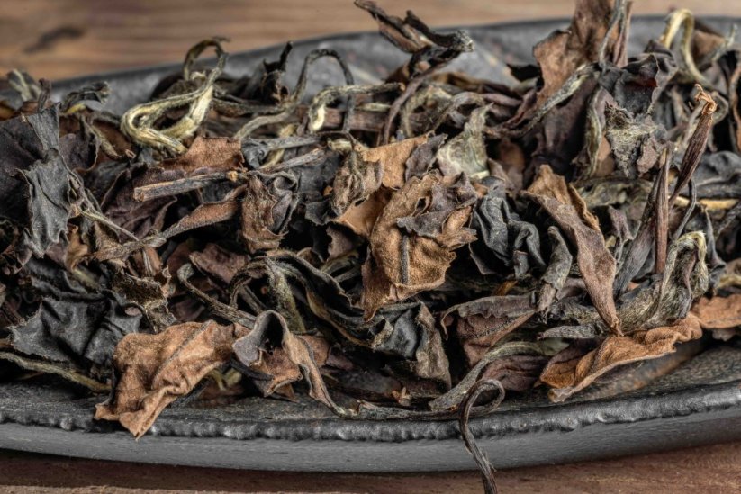 Fujian Ancient Peony 2011 - 30g