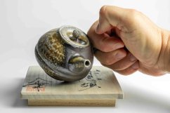 Taisuke Shiraiwa Yohen Kyusu  - 190ml