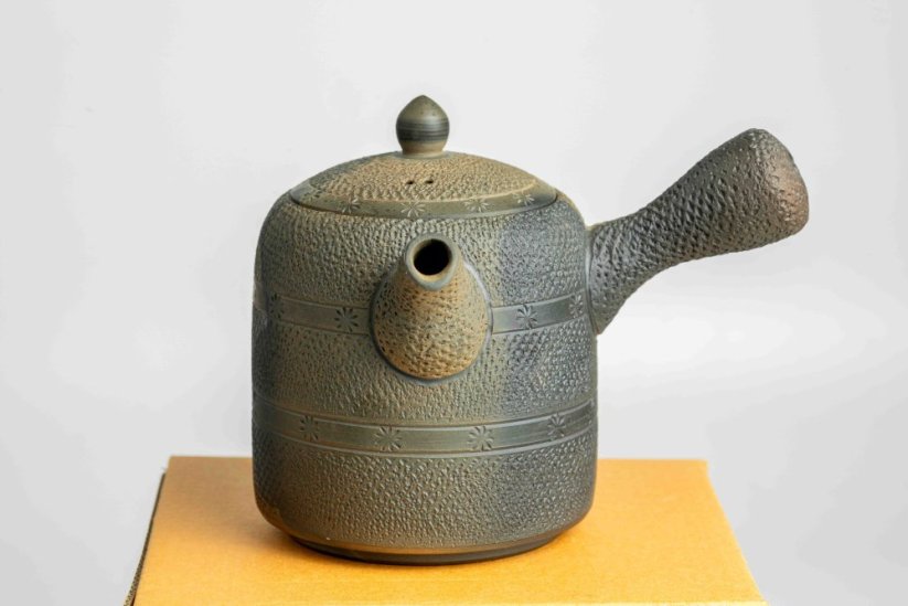 Mori Iroku IV Yohen Kyusu - 180ml