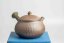 Mori Iroku IV Yohen Kyusu - 150ml