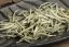Kenya Silver Needles 2025 - 30g
