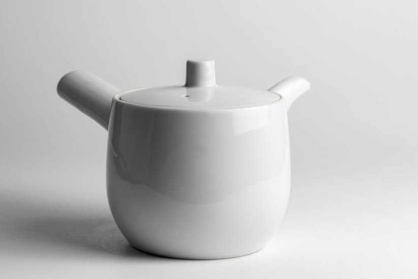 Mino Ware Porcelain Kyusu - 300ml
