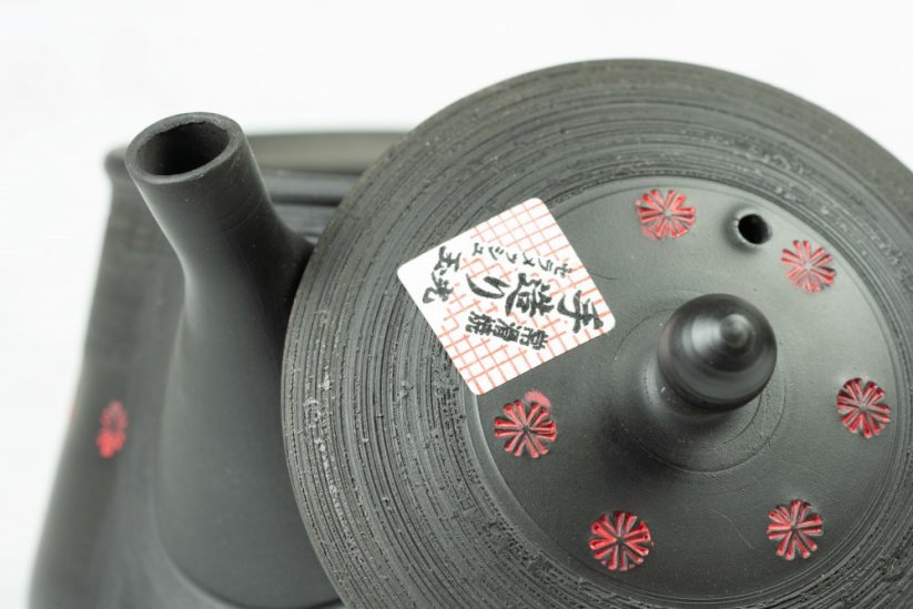 Tokoname Kyusu - 220ml
