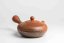 Mori Iroku III Diamond Cut Kyusu - 200ml